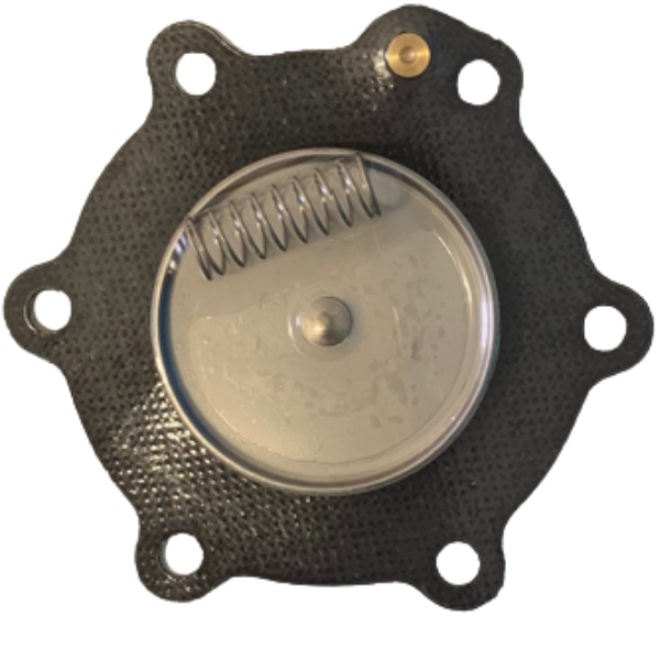 Asco Repair kit C113825