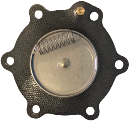 Asco Repair kit C113825